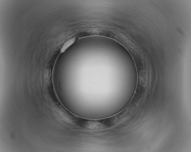 X0000112810605200908211146