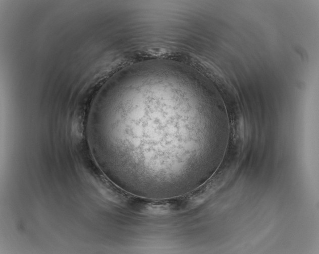 X0000112810606200908211146