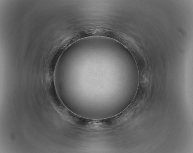X0000112810607200908211146