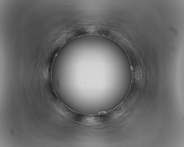 X0000112810611200908211146