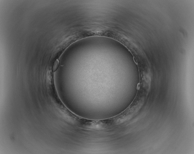 X0000112810612200908211146