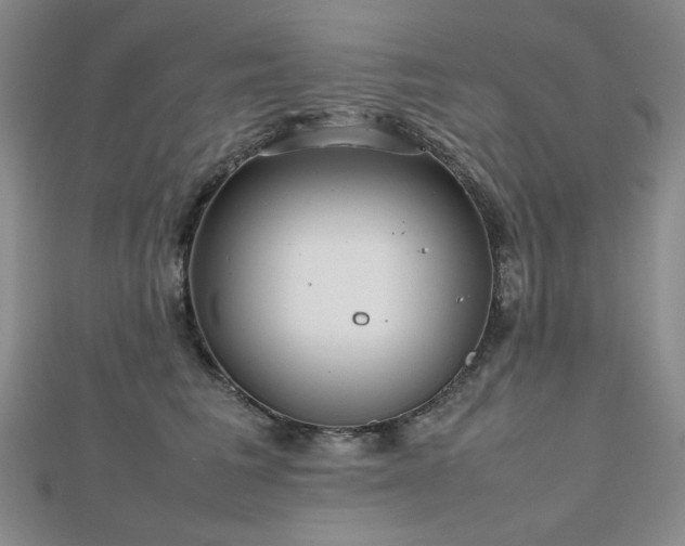 X0000112810613200908211146