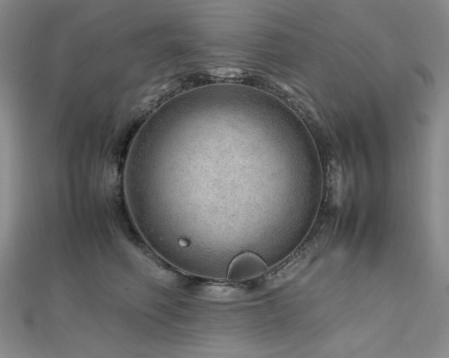 X0000112810614200908211146