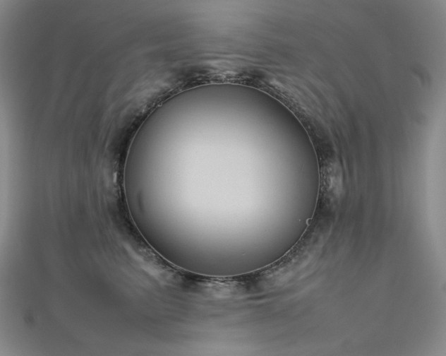 X0000112810615200908211146