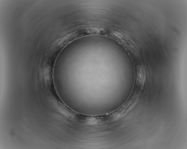 X0000112810616200908211146