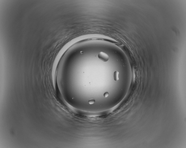 X0000112810617200908211145