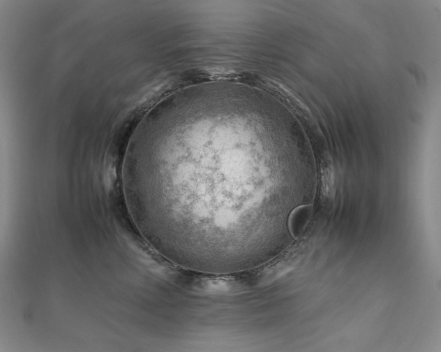 X0000112810618200908211145