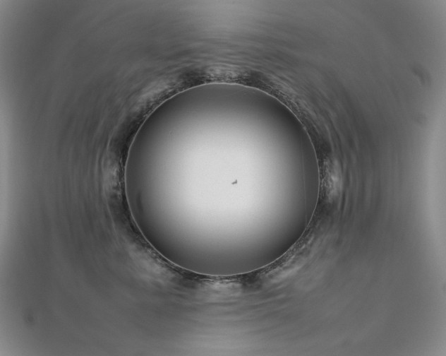X0000112810619200908211145