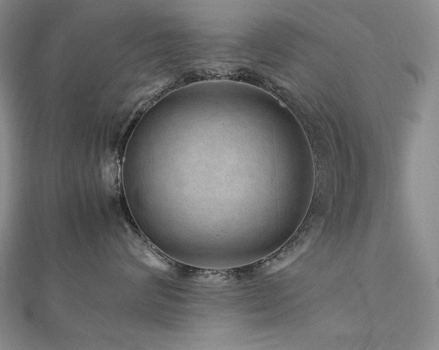 X0000112810624200908211145