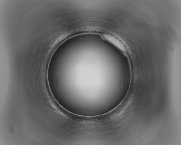 X0000112810625200908211145