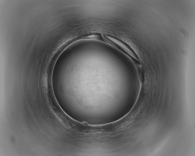 X0000112810626200908211145