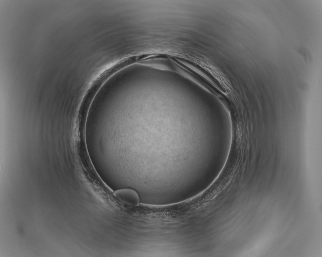 X0000112810628200908211145