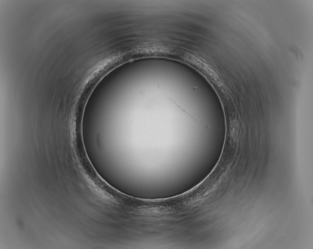 X0000112810629200908211145