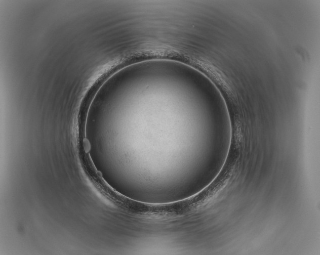 X0000112810630200908211145