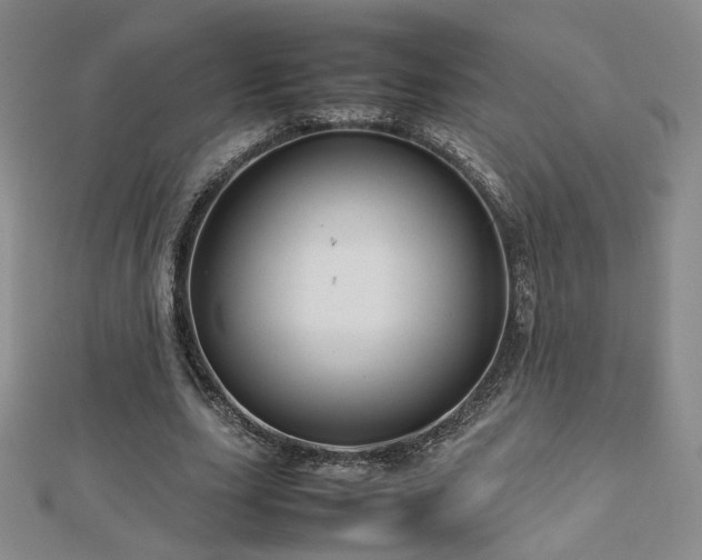 X0000112810631200908211145
