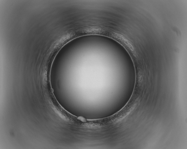 X0000112810633200908211145