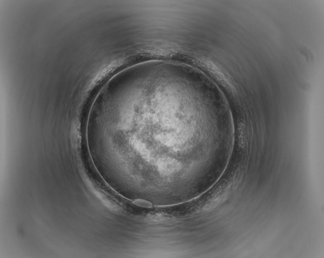 X0000112810634200908211145