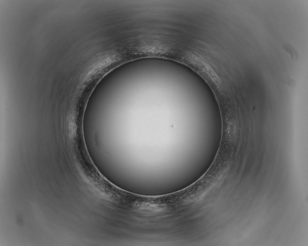 X0000112810635200908211145