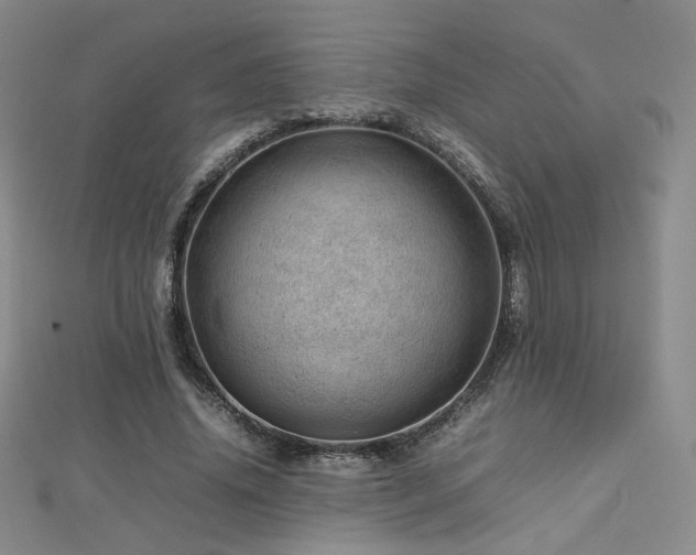 X0000112810636200908211145