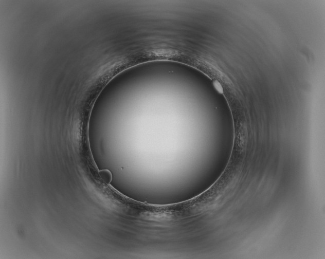 X0000112810639200908211145
