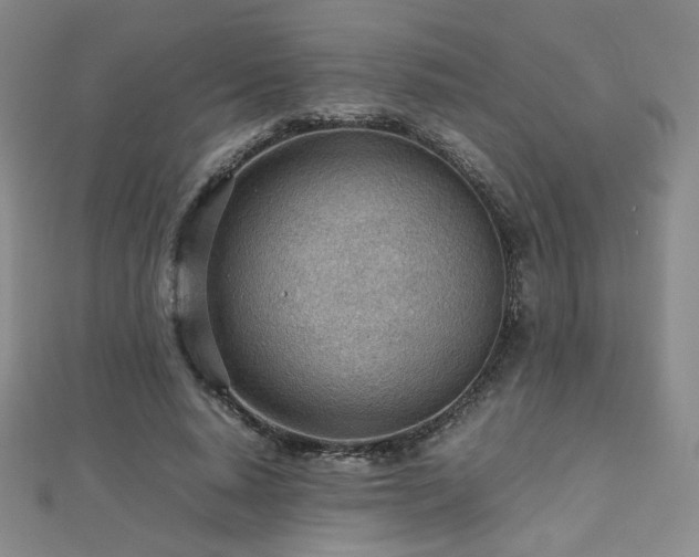 X0000112810640200908211145