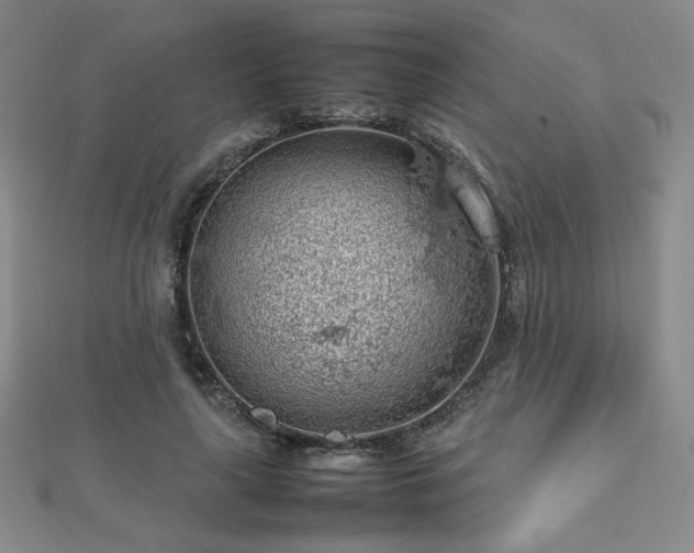 X0000112810643200908211145