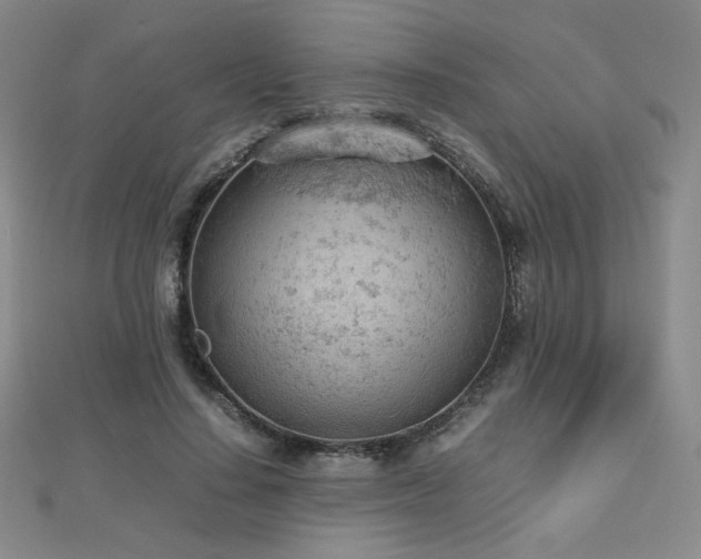 X0000112810644200908211145