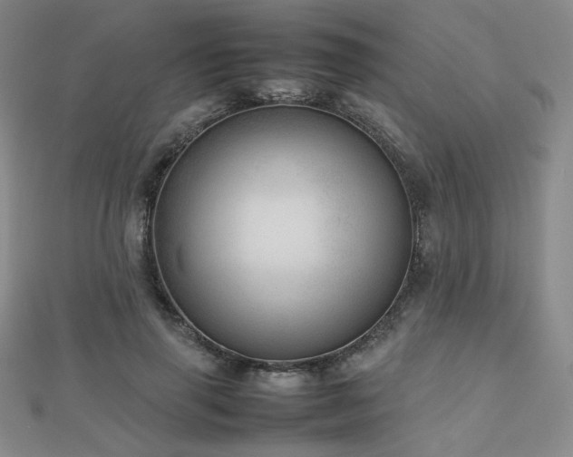 X0000112810645200908211145