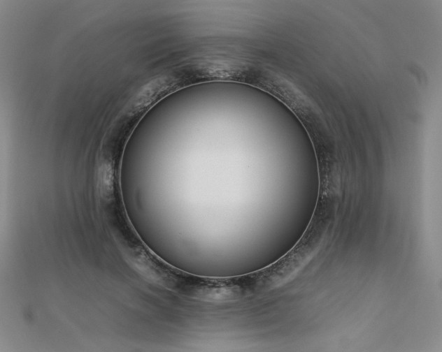 X0000112810646200908211145