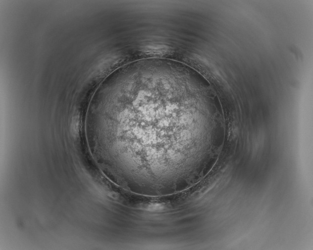 X0000112810647200908211145