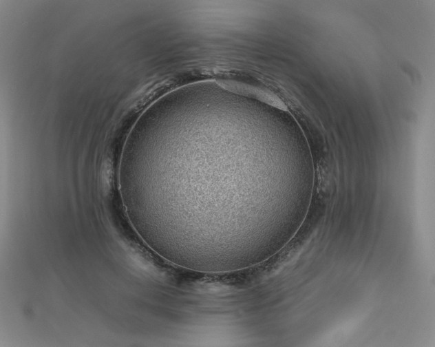 X0000112810648200908211145