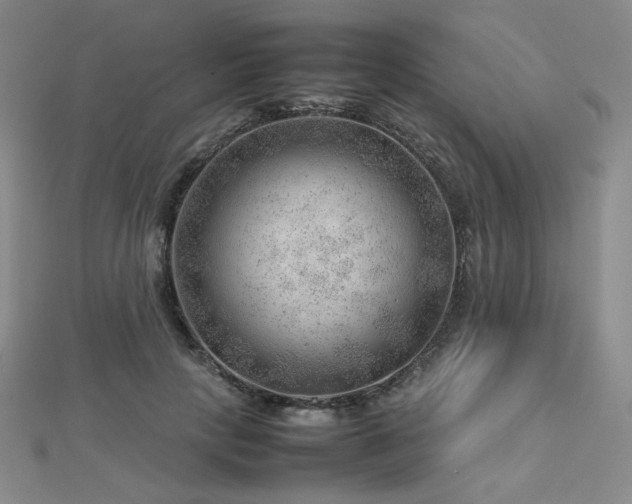 X0000112810649200908211145