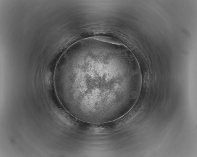 X0000112810650200908211145