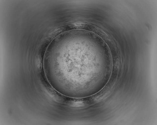 X0000112810651200908211145