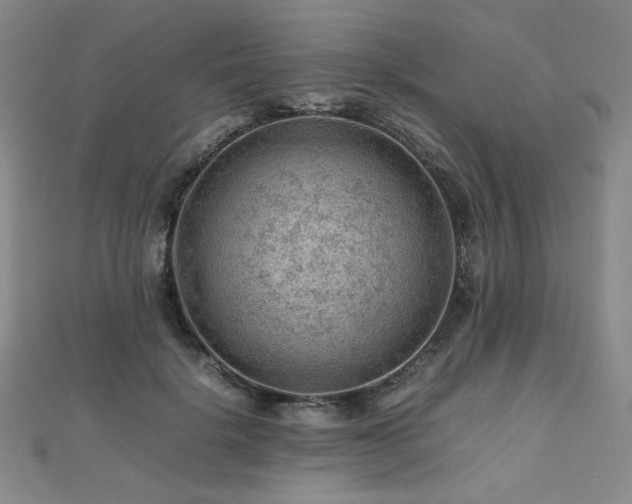 X0000112810652200908211145