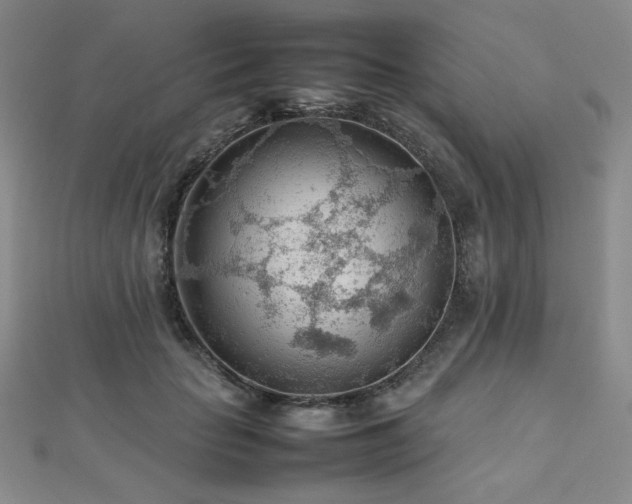 X0000112810653200908211145
