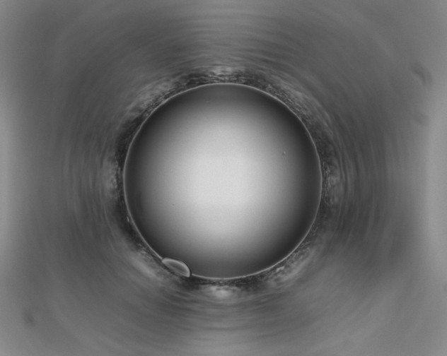X0000112810654200908211145