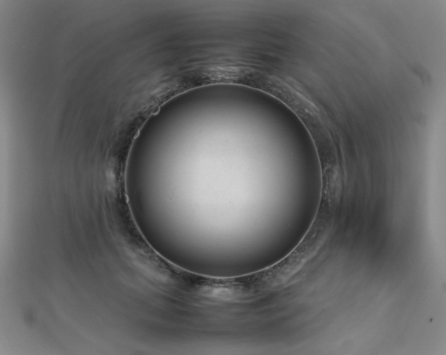 X0000112810655200908211145