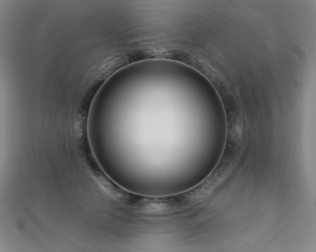 X0000112810658200908211145