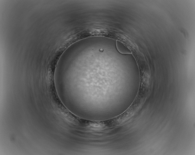 X0000112810659200908211145