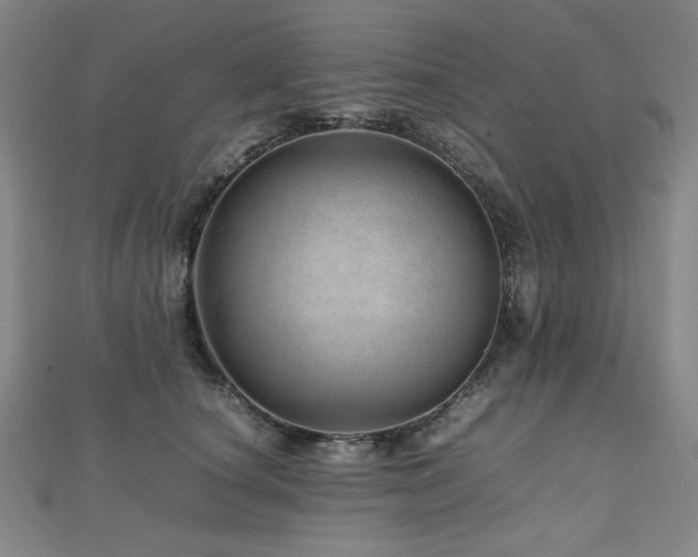 X0000112810660200908211145