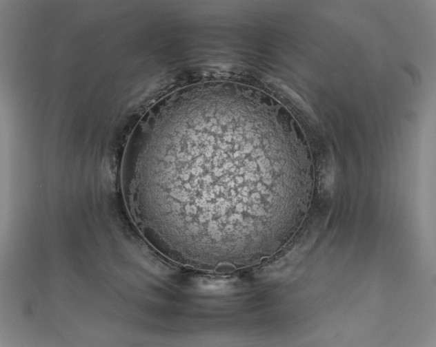 X0000112810661200908211145