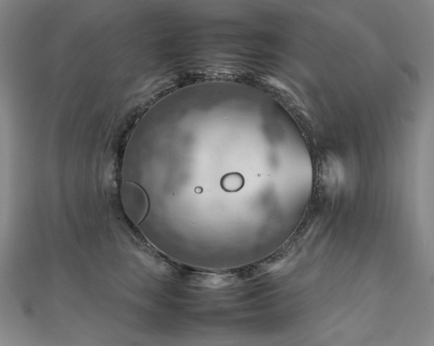 X0000112810663200908211145