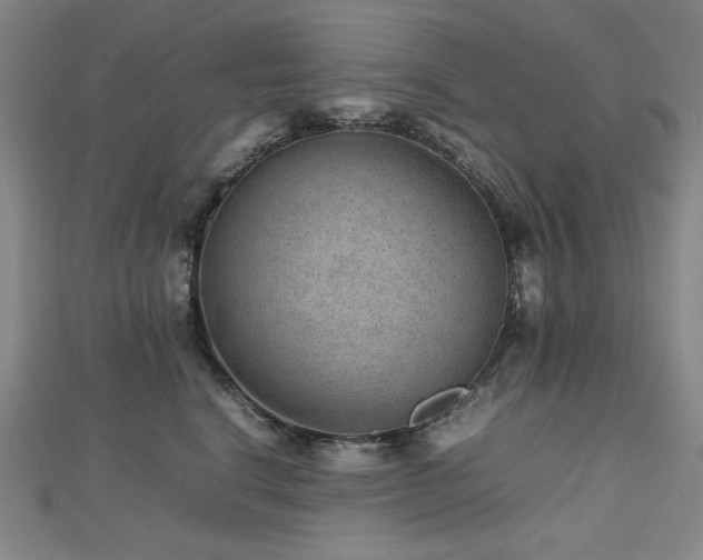 X0000112810664200908211145