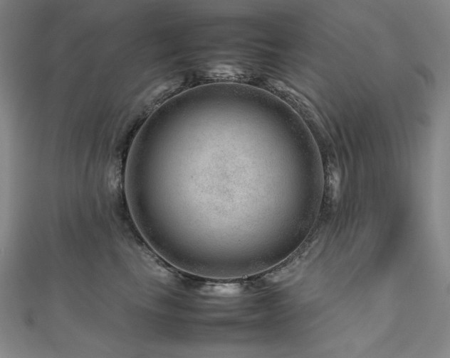 X0000112810665200908211145