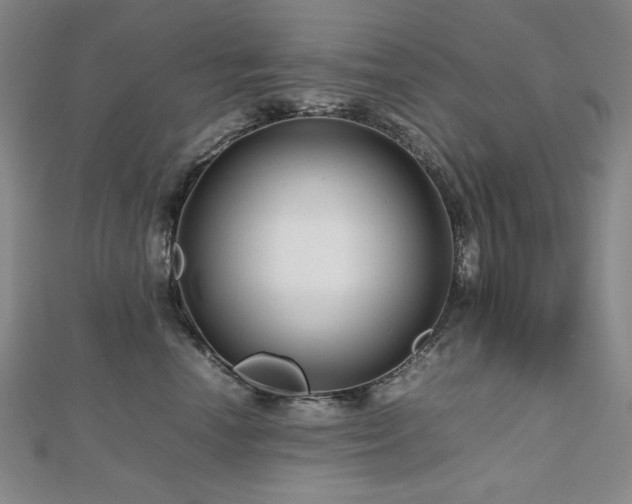 X0000112810666200908211145