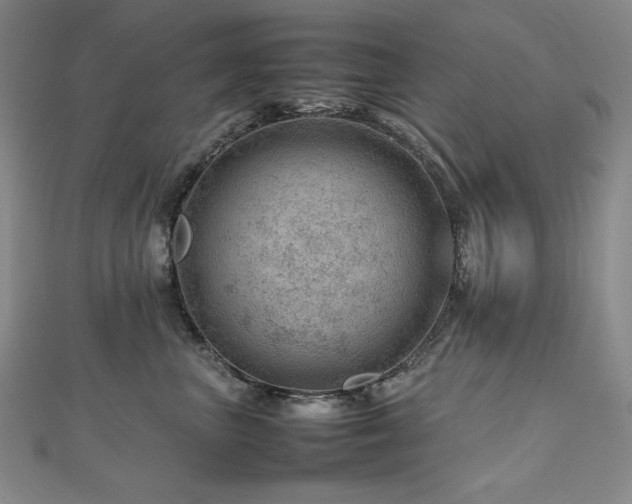 X0000112810667200908211145