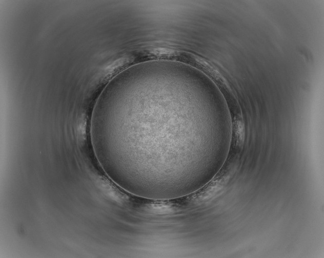 X0000112810668200908211145