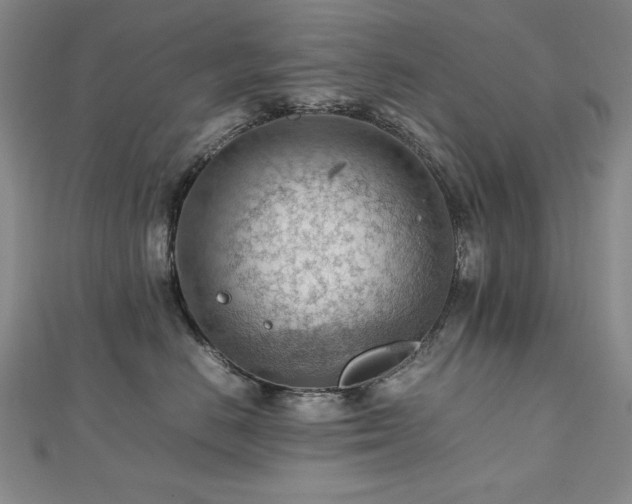 X0000112810670200908211145