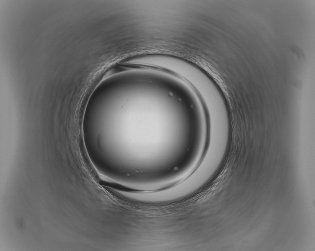 X0000112810673200908211145